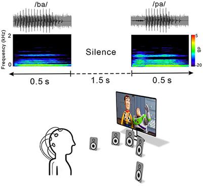 The effect of noise on the cortical activity patterns of speech processing in adults with single-sided deafness